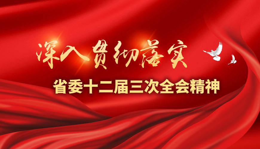 貫徹落實省委十二屆三次全會精神